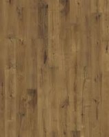 Oak Tan