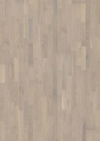 Oak taranto